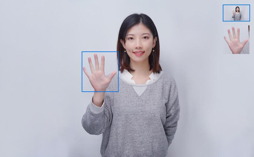 手势识别  识别手势类型24种常见的手势 人脸识别